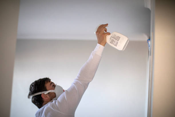 Best Commercial Mold Removal  in Carter, TX