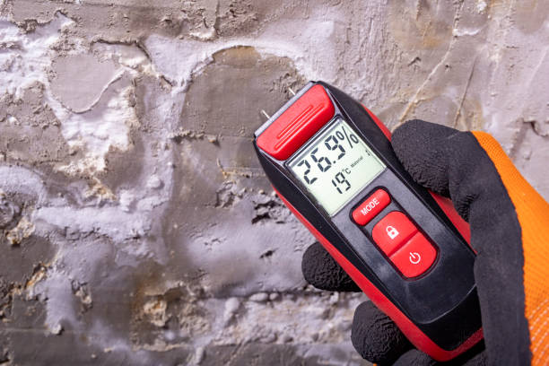 Best Residential Mold Removal  in Carter, TX