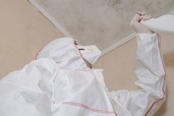 Best Emergency Mold Removal  in Carter, TX
