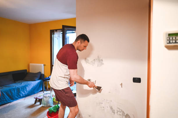 Best Toxic Mold Removal  in Carter, TX