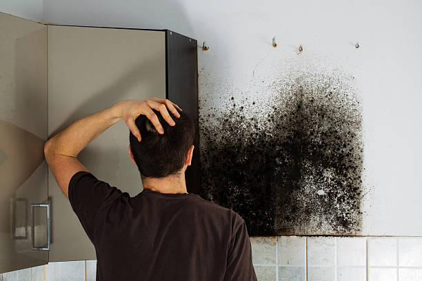 Best Attic Mold Removal  in Carter, TX